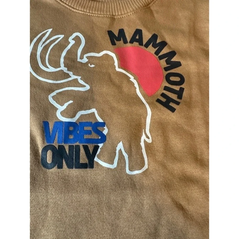 Garanimals Toddler Boys Mammoth Vibes Only Fleece Sweatshirt Brown 2T NWT